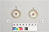 藏品(貝製耳飾)的圖片